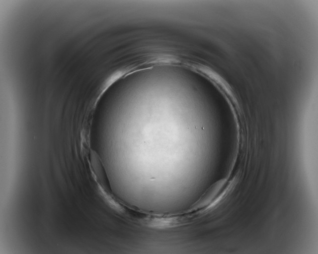 X0000086301385200704201934