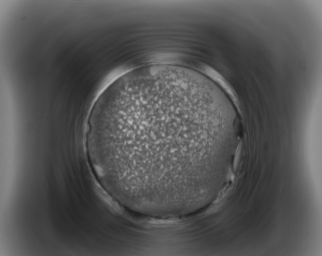 X0000086301386200704201934