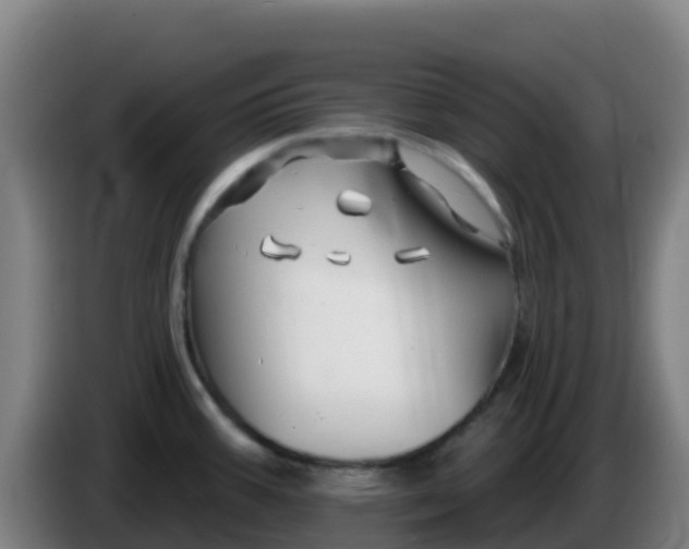 X0000086301387200704201934