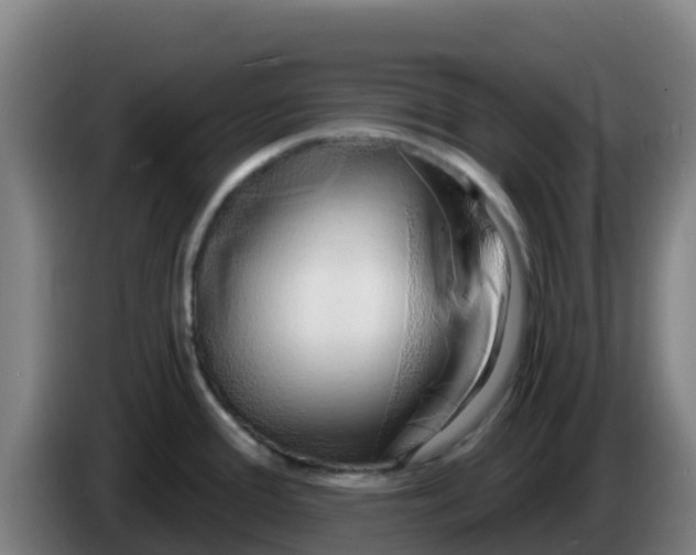 X0000086301388200704201934