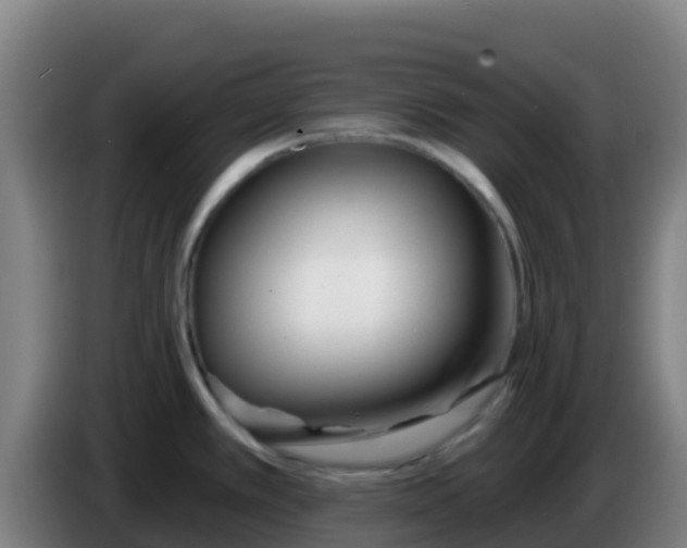 X0000086301389200704201934