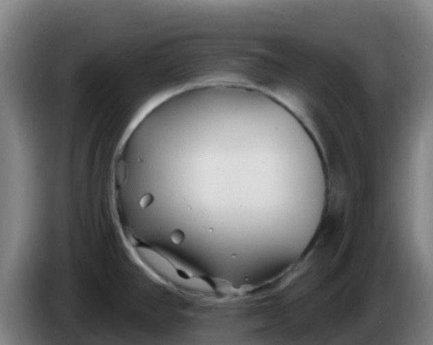 X0000086301390200704201934