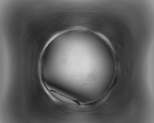 X0000086301391200704201934