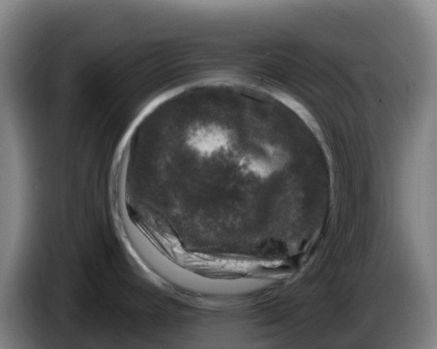 X0000086301392200704201934