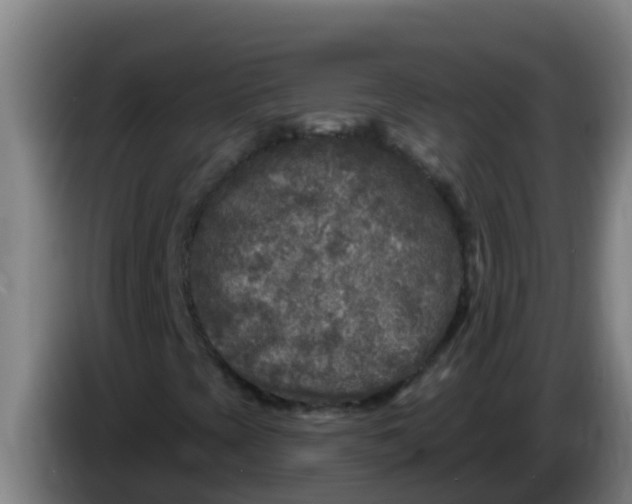 X0000086301393200704201933