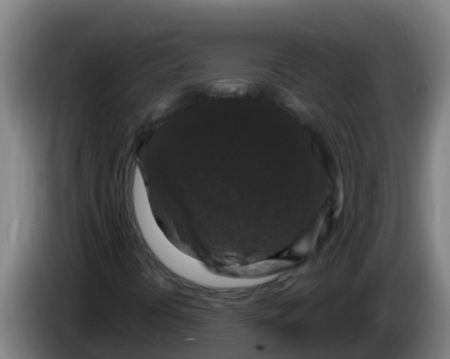 X0000086301394200704201933