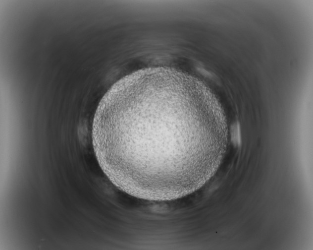 X0000086301395200704201933