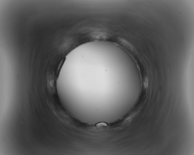 X0000086301396200704201933