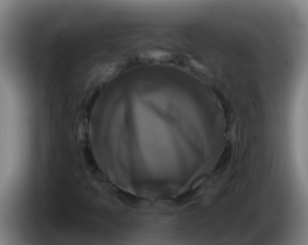 X0000086301397200704201933