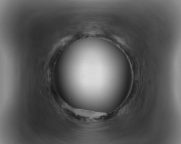 X0000086301398200704201933