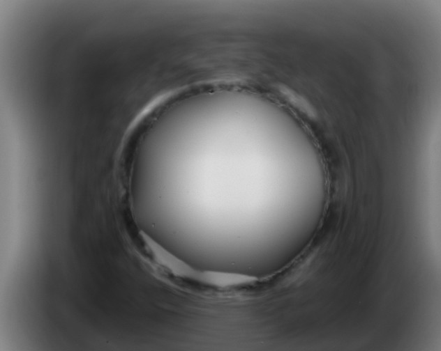 X0000086301400200704201933