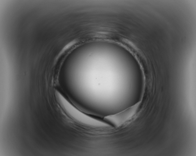 X0000086301402200704201933