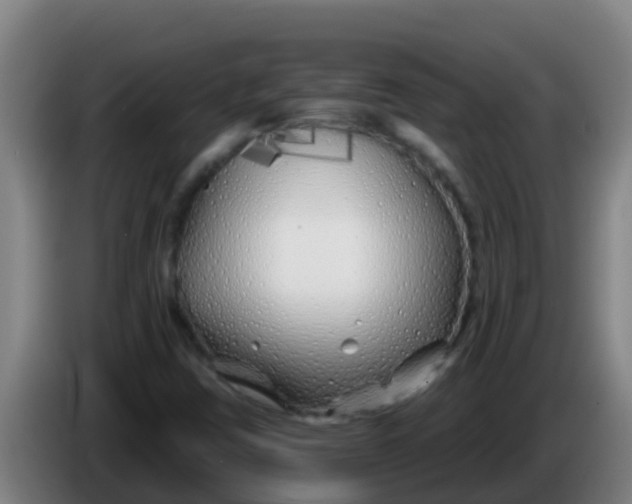 X0000086301403200704201933