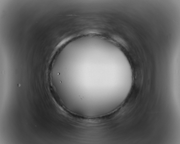 X0000086301404200704201933