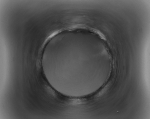 X0000086301405200704201933