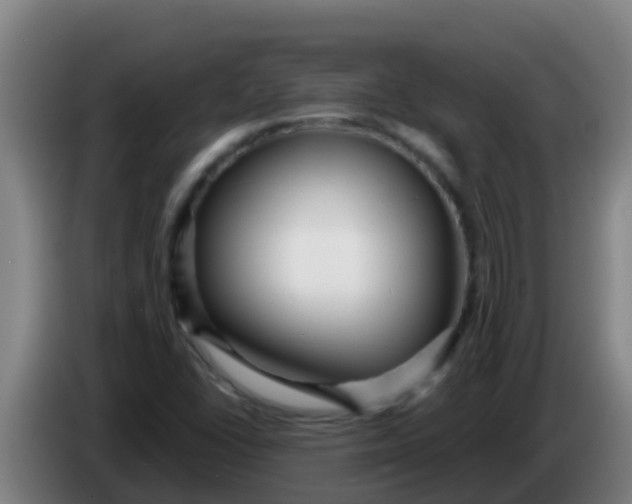 X0000086301406200704201933