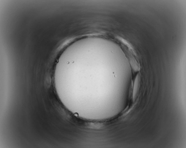 X0000086301407200704201933