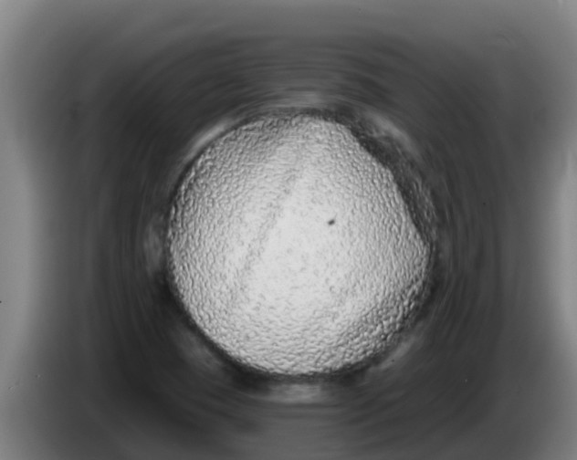 X0000086301409200704201933