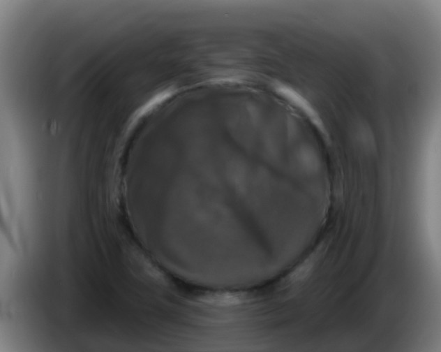 X0000086301411200704201933