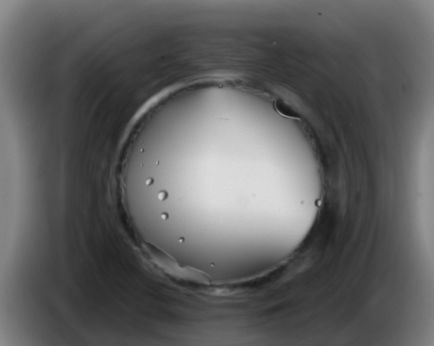 X0000086301412200704201933