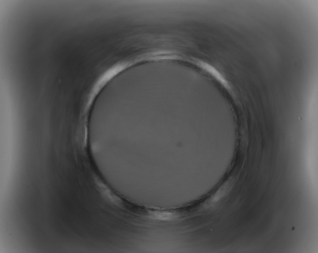 X0000086301413200704201933