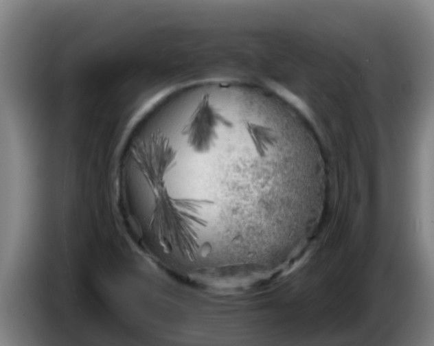 X0000086301415200704201933