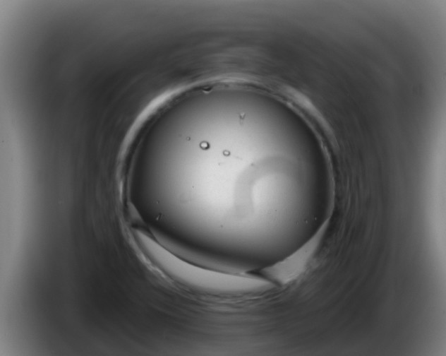 X0000086301416200704201933