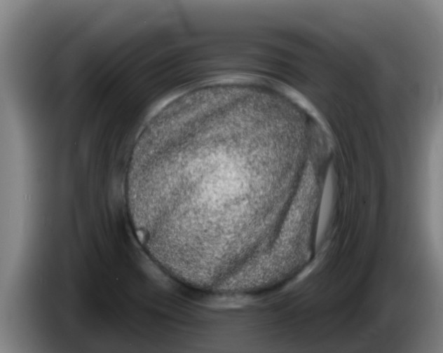 X0000086301417200704201933