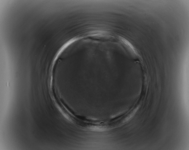 X0000086301418200704201933