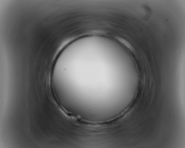 X0000086301420200704201933