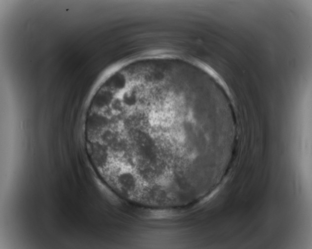 X0000086301421200704201934