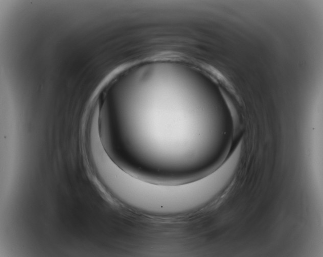 X0000086301422200704201934