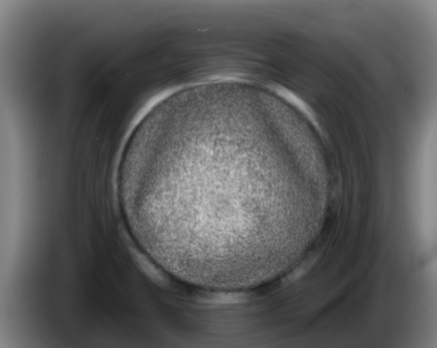 X0000086301423200704201934