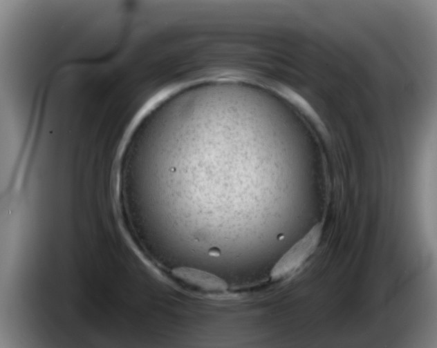 X0000086301424200704201934