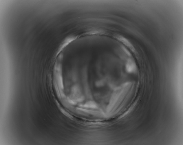 X0000086301425200704201934