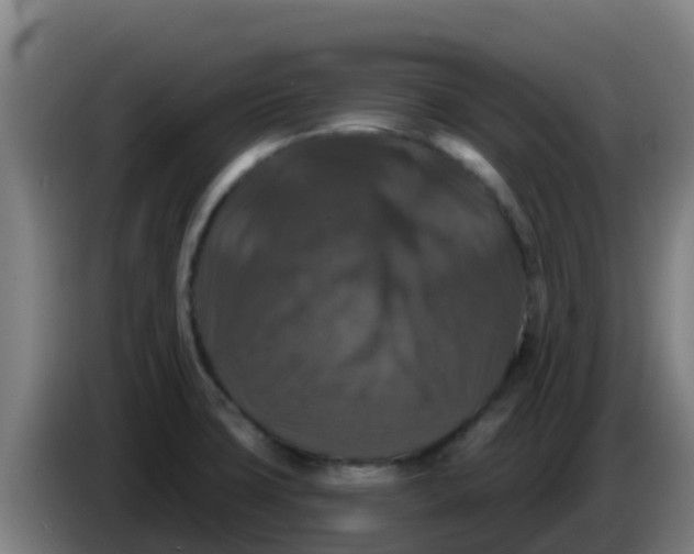 X0000086301427200704201934