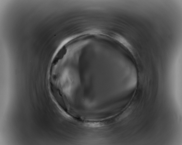 X0000086301428200704201934