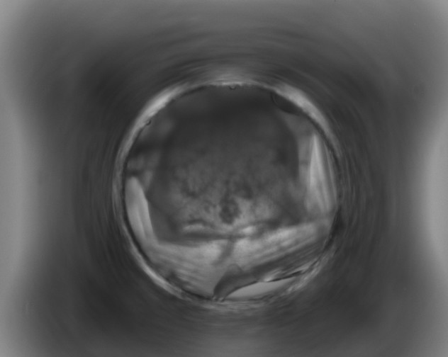 X0000086301429200704201934