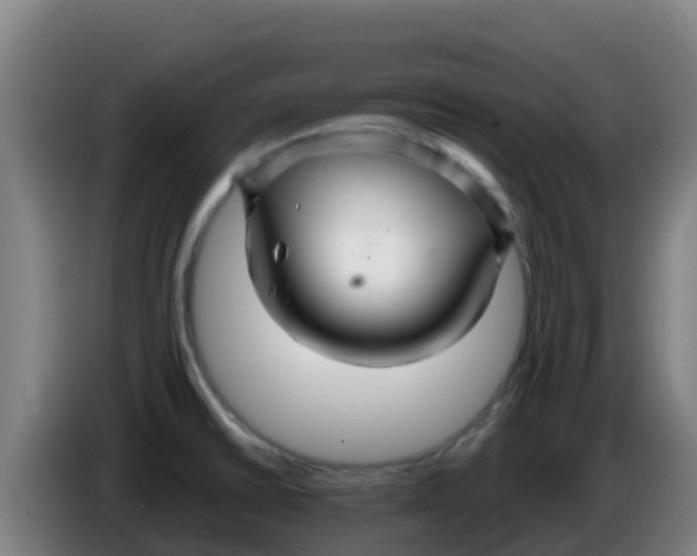 X0000086301430200704201934