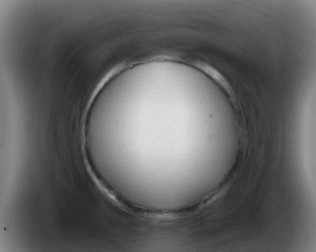 X0000086301431200704201934