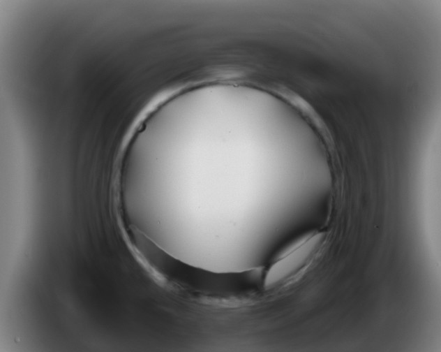 X0000086301432200704201934