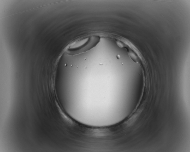 X0000086301433200704201934