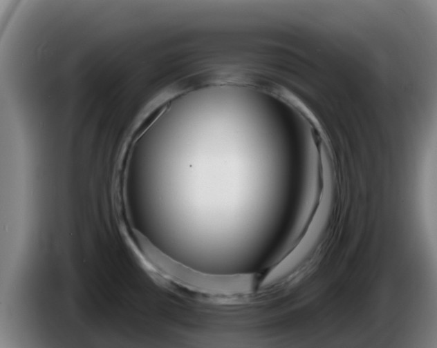 X0000086301434200704201934