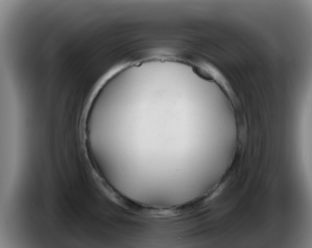 X0000086301435200704201934