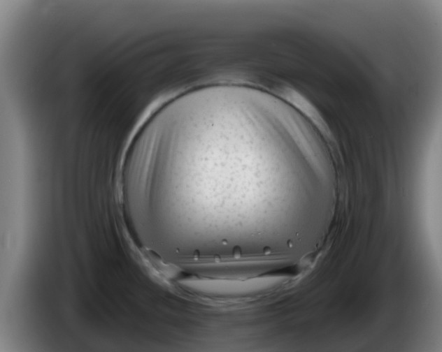 X0000086301436200704201934