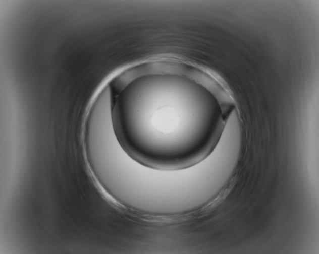 X0000086301438200704201934