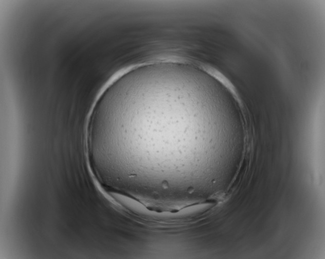 X0000086301439200704201934