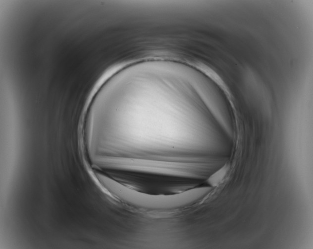 X0000086301440200704201934