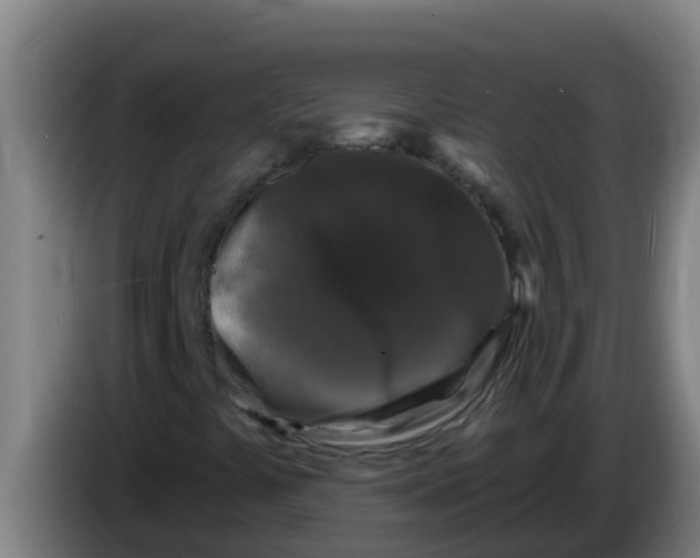 X0000086301441200704201933