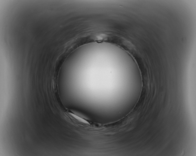 X0000086301442200704201933